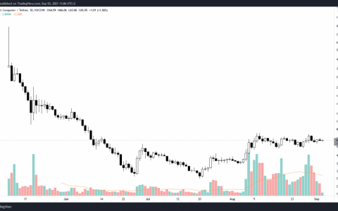 10,000 个免费 NFT？ 不要再等了，利用ICP加密货币项目的大礼物