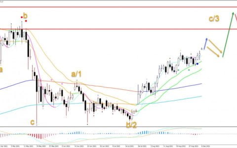 BTC/USD 突破 5 万美元后接下来会发生什么
