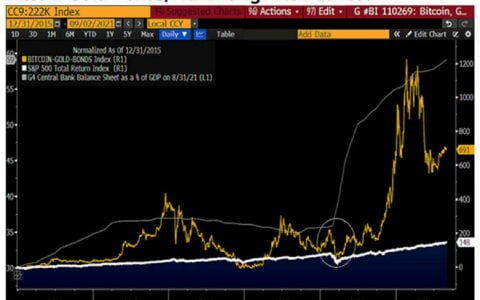 彭博授予比特币避风港地位并命名 100,000 美元