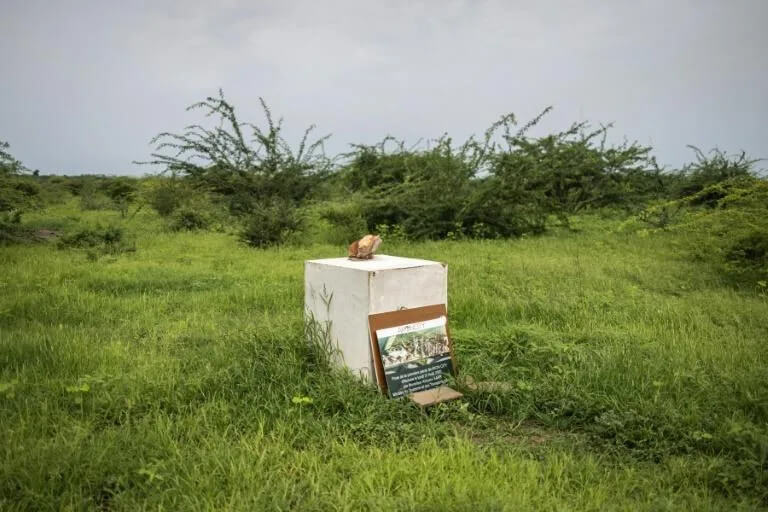 说唱歌手 Akon 的加密货币城市是建在沙子上的吗？