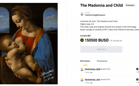 俄罗斯国家冬宫通过币安 NFT 拍卖筹集了 44 万美元