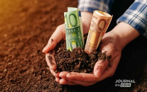 Moonie NFT：一个结合金融机会、视频游戏和 NFT 的有趣概念