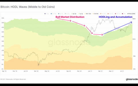 比特币在美元回升中走高