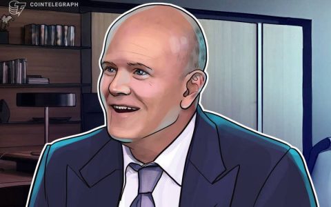 尽管比特币价格暴跌，但 BTC 是价值转移的互联网：Novogratz