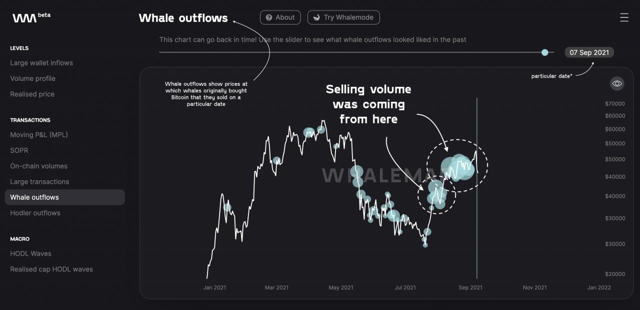 ‘卖的是谁？ 不是 持有者”——新数据暗示比特币崩盘的“罪魁祸首”
