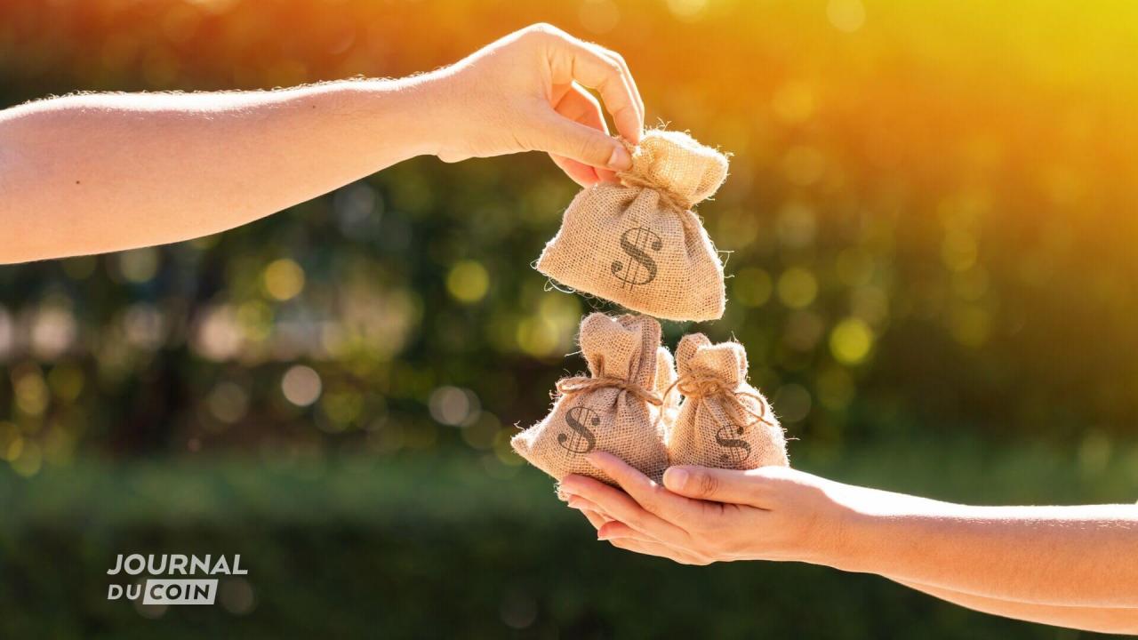 Fuji DAO：借入加密货币的最佳利率保证