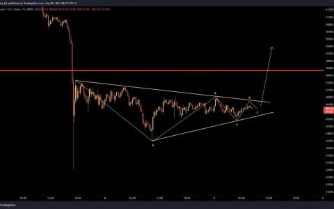 比特币价格 2021 年 9 月 9 日 – 绿色且反对一切