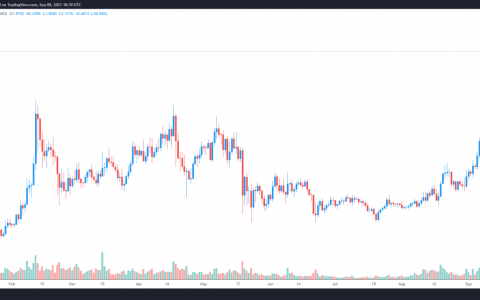 这就是 Algorand 的价格刚刚上涨至多年新高的原因