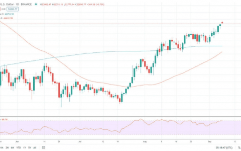 比特币在数小时内暴跌 10%，市场缩水 3000 亿美元