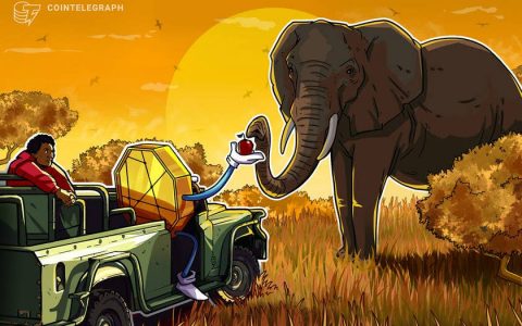 自 2020 年以来，非洲的加密货币市场增长了 1200% 以上：Chainalysis