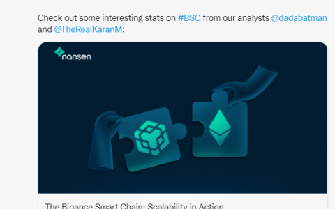 币安智能链被加密货币鲸鱼控制？ 令人震惊的启示