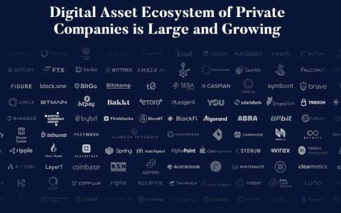 6.5 亿美元打造“婴儿潮一代的加密货币”：这个书呆子打破了加密货币