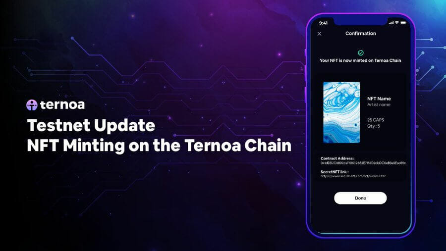 Ternoa 能否成为 Polkadot 的旗舰项目？ 一个测试网作为确认