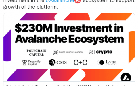 2.3 亿用于Avalanche（AVAX），它承载了所有在其路径上的东西——DeFi 变身了？