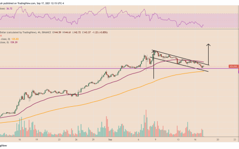 尽管 SOL 价格自上周以来下跌了 40%，但 Solana K线走势图“牛市旗”仍为 250 美元