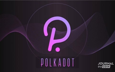 Ternoa 能否成为 Polkadot 的旗舰项目？ 一个测试网作为确认