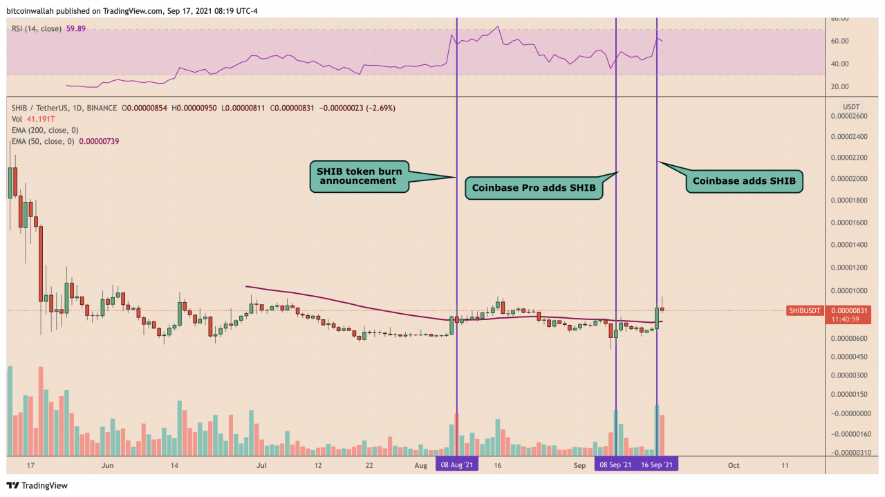 Shiba Inu (SHIB) 因 Elon Musk 的神秘背书和 Coinbase 上市而上涨 40%