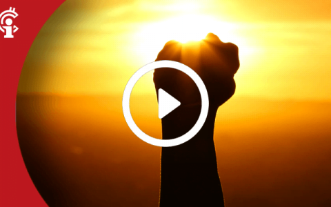 市场更新 07/21/21：比特币价格是否显示出复苏迹象？ 已找到支持