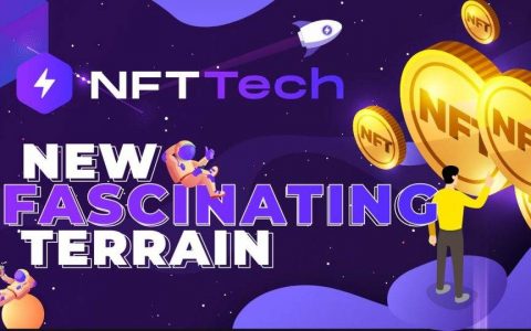 加密货币革命的新宠：NFT 市场为何会蓬勃发展？