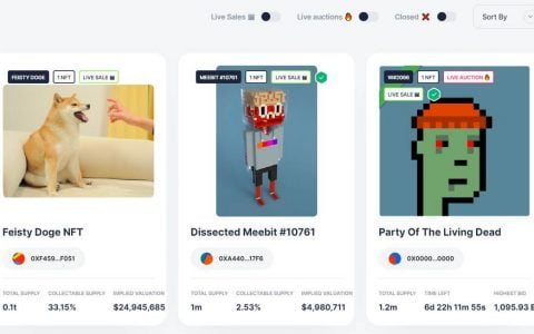 NFT 实践指南：如何使用 Fractional 来碎片化 NFT？