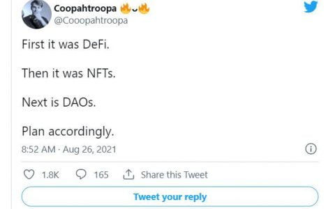 加密世界的下个夏季属于谁？也许是 DAO