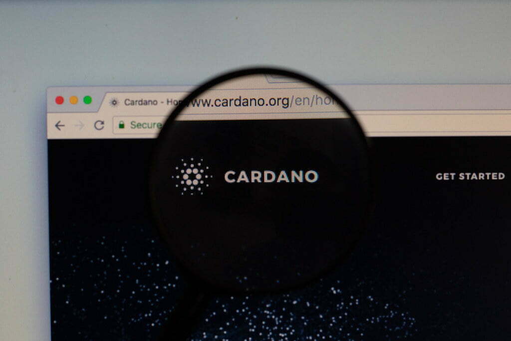 ada 持有关键支持、cardano、价格、水平