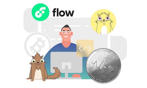 Flow VS 以太坊：深度对比两条公链以及合约开发语言