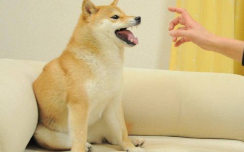 NFT 碎片化引社区热议 ：是大势所趋还是流动性透支？