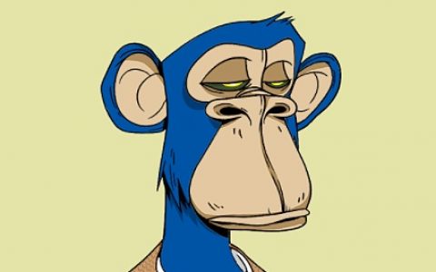 NFT热潮中的“无聊猿” 、“加密货币朋克”和“虚拟石头”