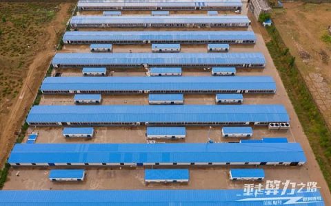 实探内蒙鄂尔多斯、新疆准东、川西加密货币矿场