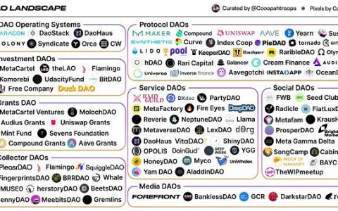 DAO面面观：概念、版图、操作系统、和社会资本之间的关系