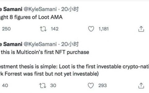 Multicoin Capital 合伙人：Loot 可能是更好的 DAO
