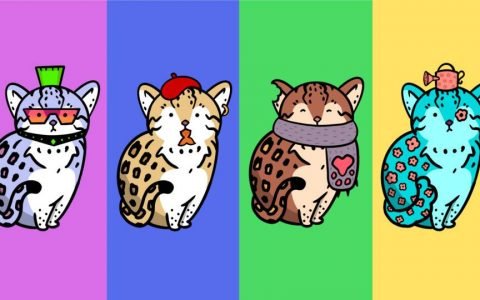 Paradigm 详解全新 NFT 衍生品创想「地板价永续合约」