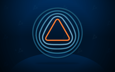 安克雷奇负责人谈机构对加密货币市场下滑的反应