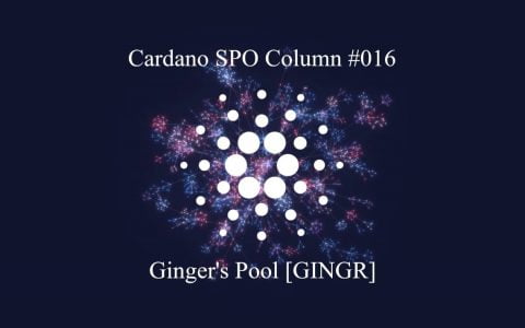 Cardano SPO 专栏：Ginger’s Pool [GINGR]