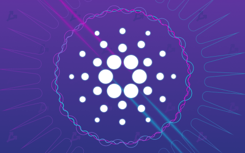 卡尔达诺部署的 99% 的智能合约仍然处于非活动状态