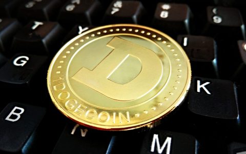 DOGE Metaverse 启动，在 DOGE 中赠送 100 万美元