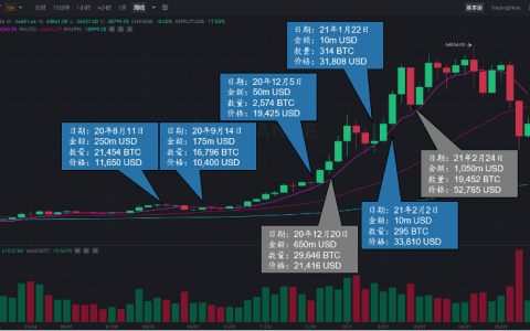 从MicroStrategy的可转债策略，起底加密货币社区的头号赌徒Michael Saylor