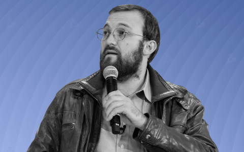 Charles Hoskinson 警告 DeFi 和 NFT 市场的泡沫