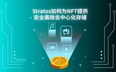 Stratos 如何为 NFT 提供安全高效去中心化存储