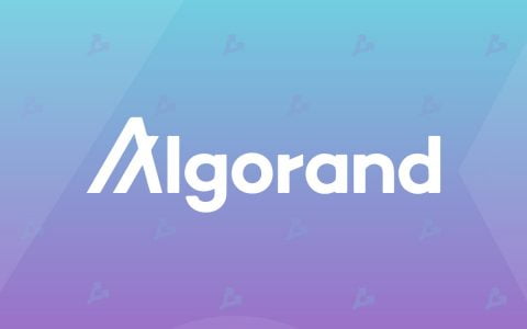 Algorand 基金会启动基金以支持 DeFi 创新