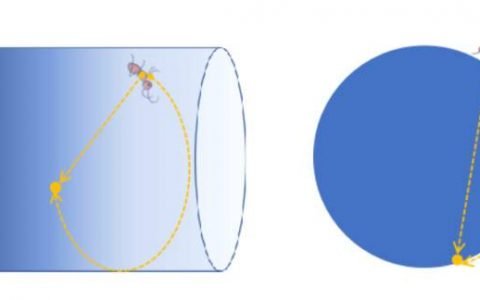 从物理学视角理解 Loot：为什么它可能是元宇宙的「虫洞」？