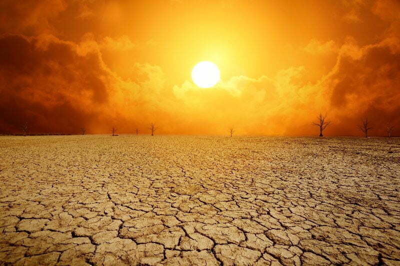 Revolut，减少环境影响的项目