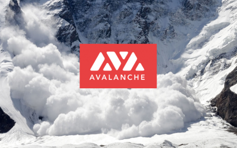 以Avalanche之势改造世界 纵览 Avalanche 生态