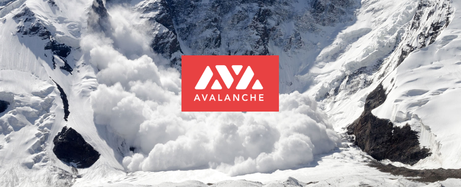 以Avalanche之势改造世界 纵览  Avalanche 生态