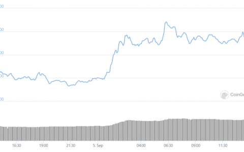 Dfinity 和 LTC 一夜之间飙升超过 10%：分析
