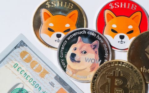 狗狗币波动，表情包加密货币柴犬在 24 小时内飙升 35%