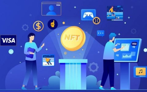 Visa NFT 白皮书中透露了哪些关键信息？
