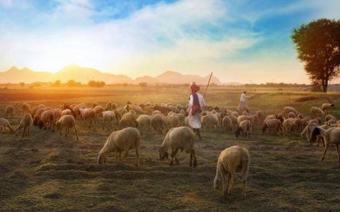 空投热潮再起：羊毛党的狂欢，项目方的困境