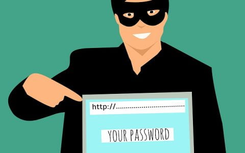 澳大利亚骗子在 2020 年通过加密货币支付赚取了 2000 万美元